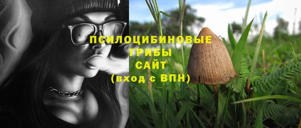 сатива Михайловск