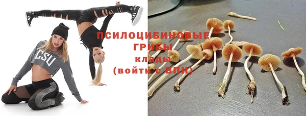 экстази Михайлов