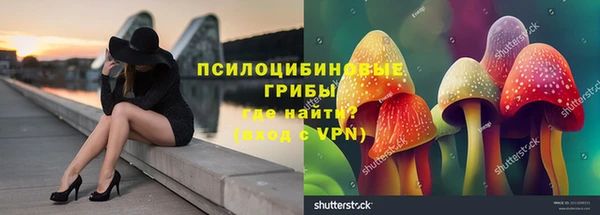 экстази Михайлов