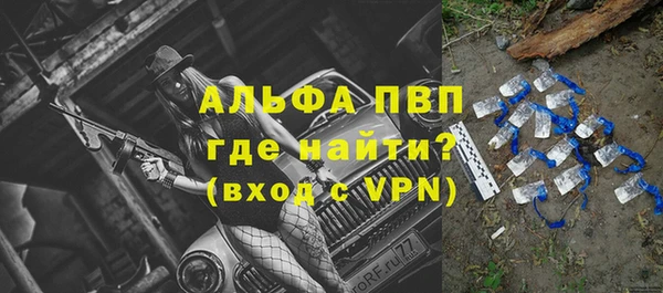 сатива Михайловск