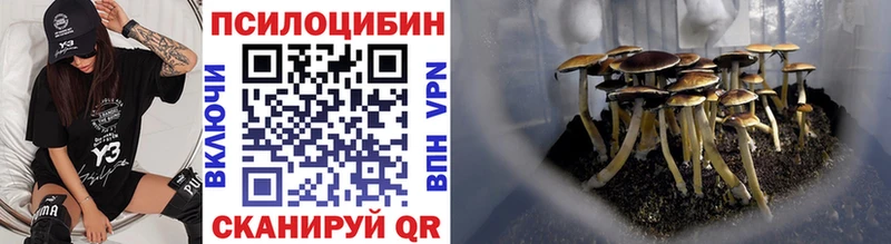 как найти закладки  Отрадное  Галлюциногенные грибы Cubensis 