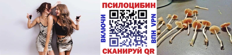 Псилоцибиновые грибы Cubensis Отрадное